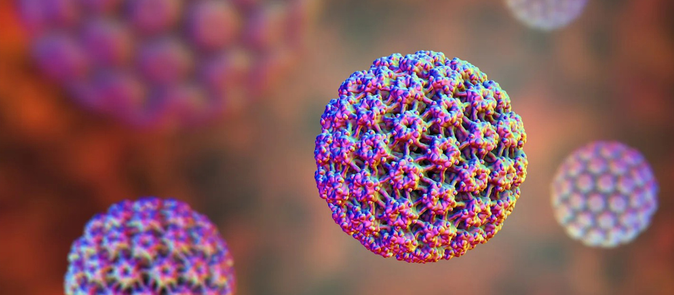 Papilloma Virus – HPV
